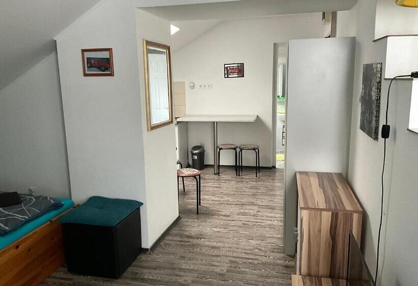 Апартаменты 1 Спальня, Silver Bike Motel