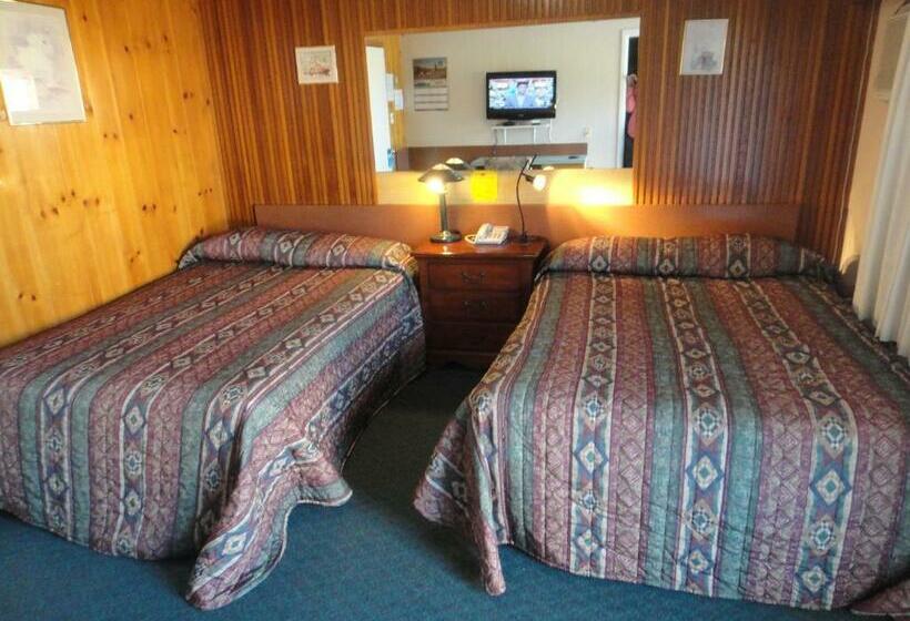 Номер Стандарт 2 Двуспальные Кровати, Airport Inn