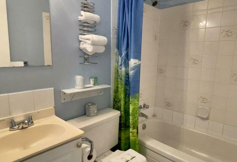 Номер Стандарт 2 Двуспальные Кровати, Departure Bay Motel