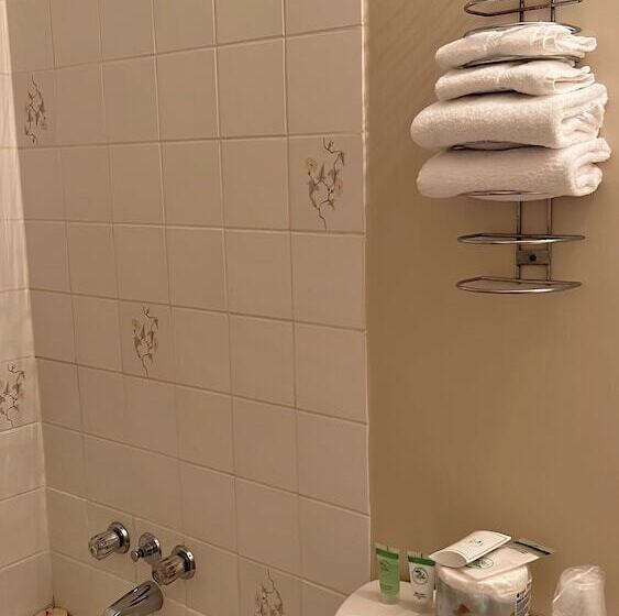 Номер Стандарт 2 Двуспальные Кровати, Departure Bay Motel