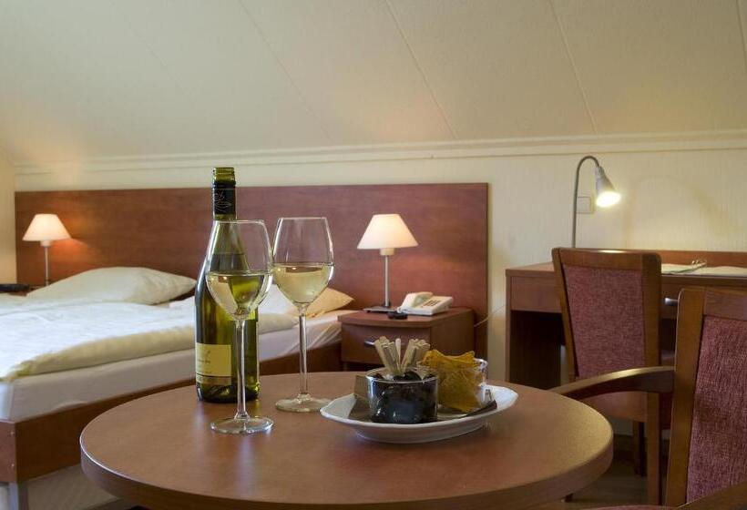 스탠다드 룸, B&b, Brasserie Lakerhof