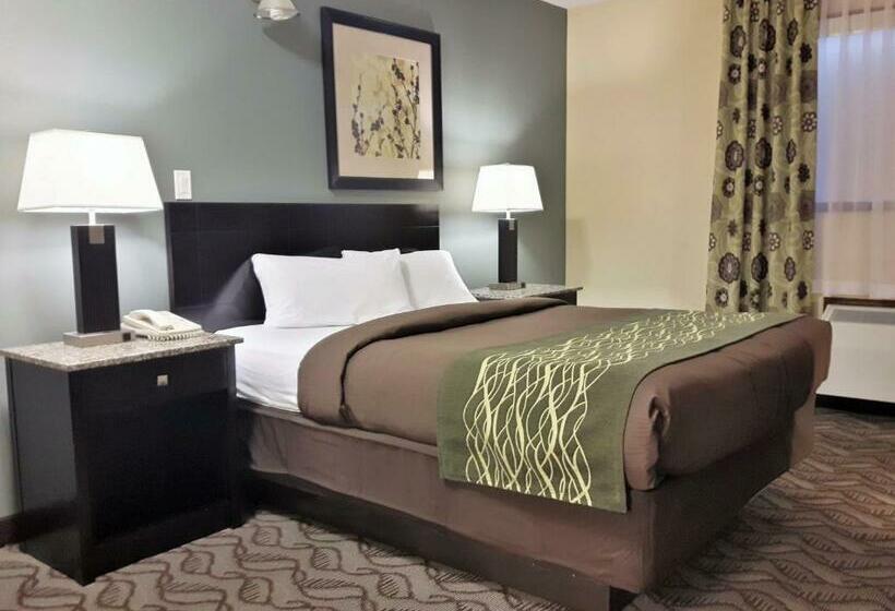 标准间, Lacombe Motor Inn