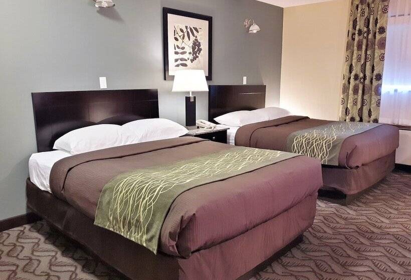 带2个双人床的标准工作室, Lacombe Motor Inn