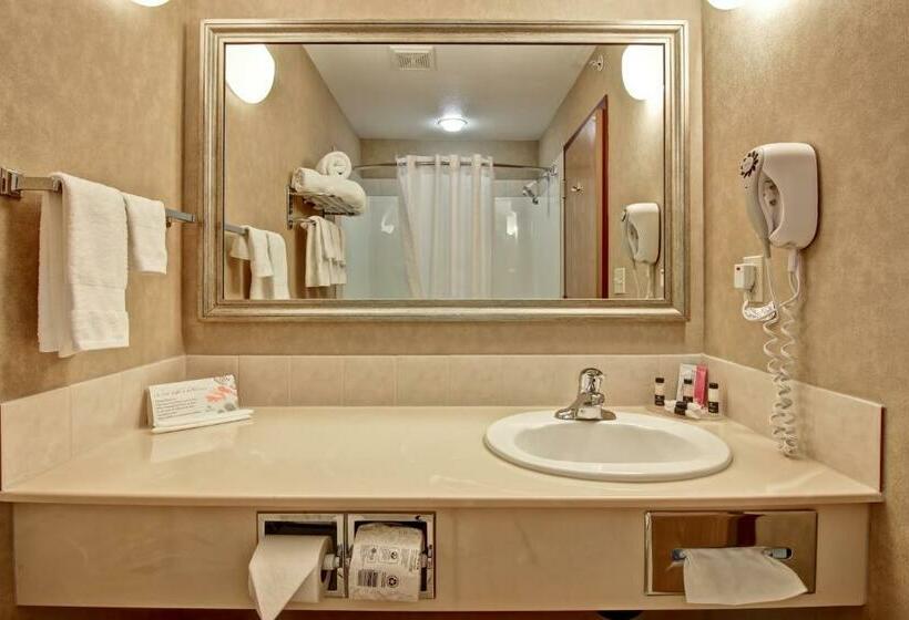 Family Suite, Stettler Canalta