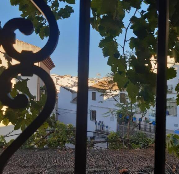 غرفة قياسية فردية, La Posada Amena