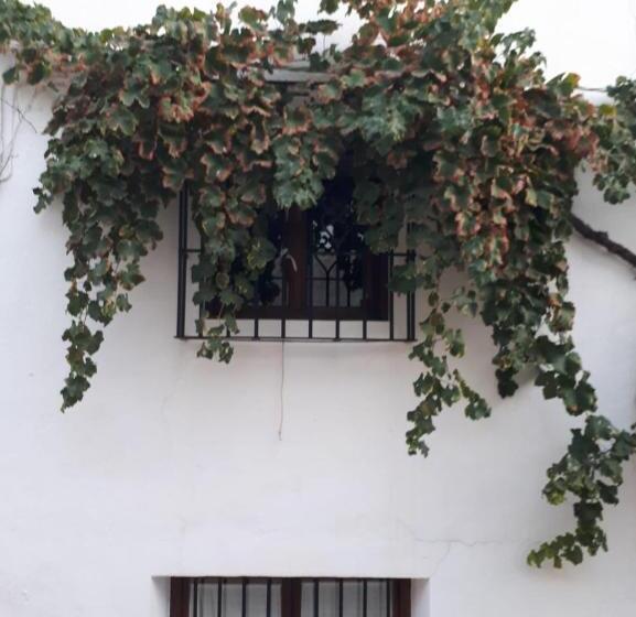 غرفة قياسية ثلاثية, La Posada Amena