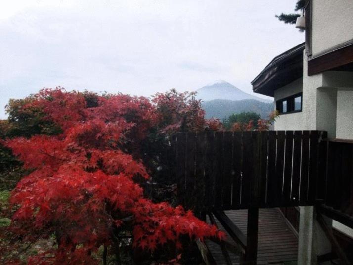 Семейный Номер, Guesthouse Sakuya