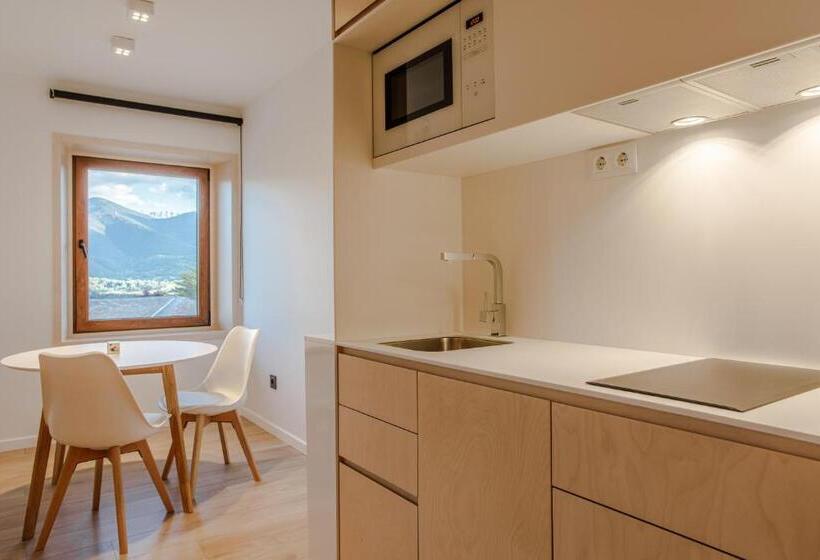 Студио Стандарт Вид на Горы, Cerdanya Ecoresort