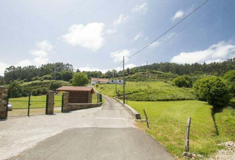 스탠다드 룸, Lekeitio Aterpetxea Hostel