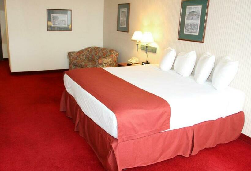 Стандартный Номер Кровать Кинг, Hoover Dam Lodge