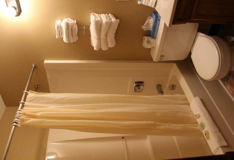 Номер Стандарт, Gold Country Inn