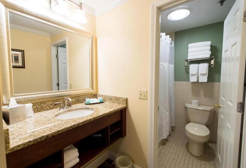 חדר סטנדרט נוף לעיר, Union Bluff Hotel & Meeting House