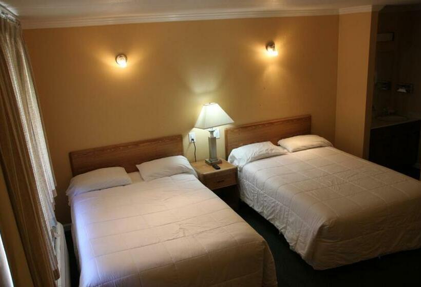 غرفه قياسيه سريرين مزدوجين, Villa Inn