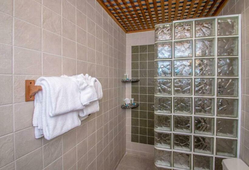 Дом 1 Спальня, Adventure Suites
