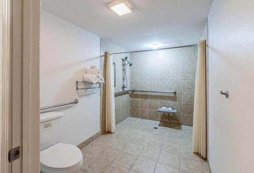 장애인을 위한 스탠다드 룸, Motel 6 Martinsburg, Wv
