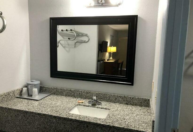 스탠다드 룸 킹사이즈 침대, Magnolia Inn Laurens