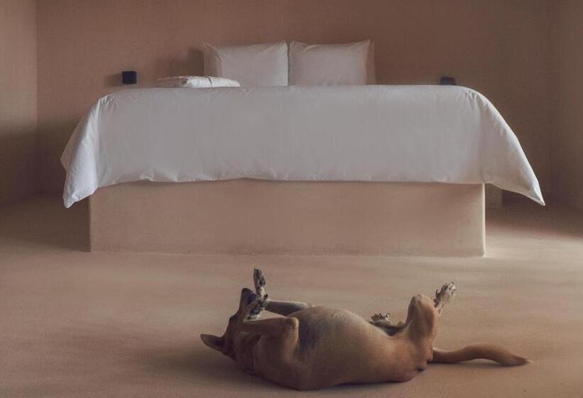 Suite with Pool, Xeno Hotel Boutique