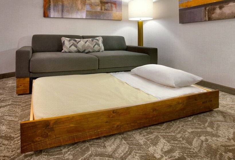 Люкс, Springhill Suites By Marriott Salt Lake City South Jordan