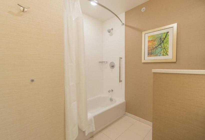 스탠다드 룸, Fairfield Inn & Suites By Marriott Gaylord