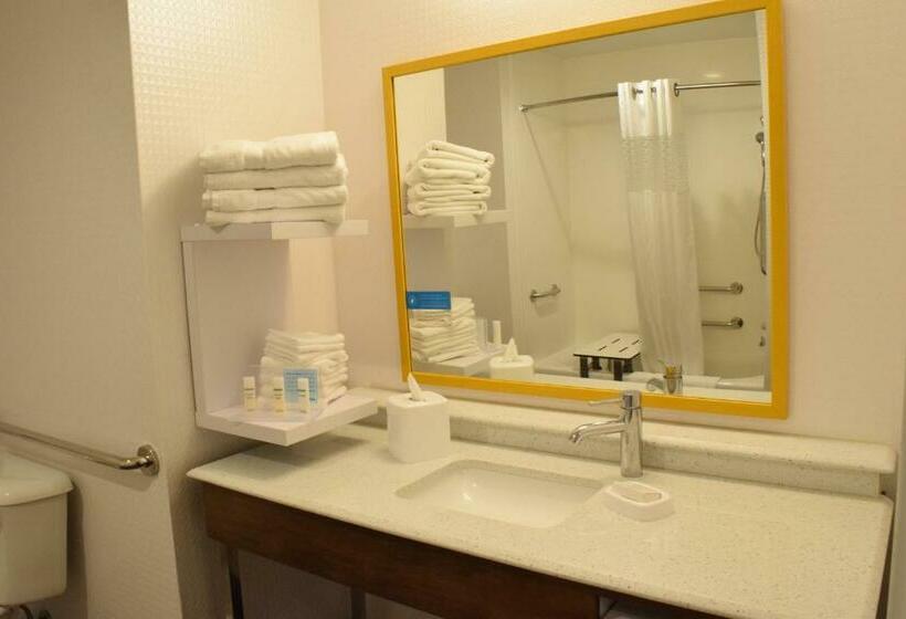 身障者適用キングサイズベッドルーム, Hampton Inn Buffalohamburg