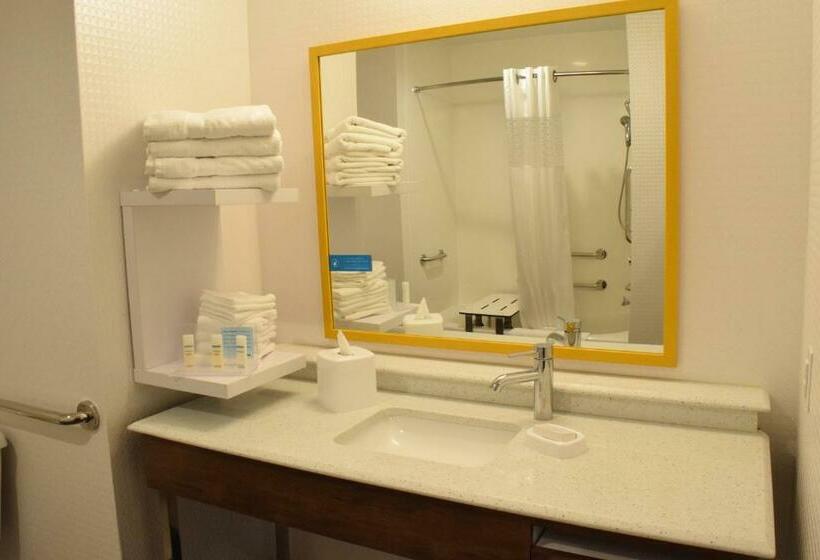 身障者適用キングサイズベッドルーム, Hampton Inn Buffalohamburg