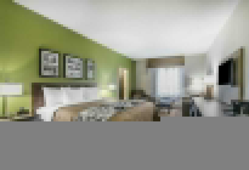 Люкс Кровать Кинг, Sleep Inn & Suites Columbia