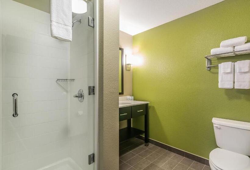 Стандартный Номер Кровать Кинг, Sleep Inn & Suites Columbia