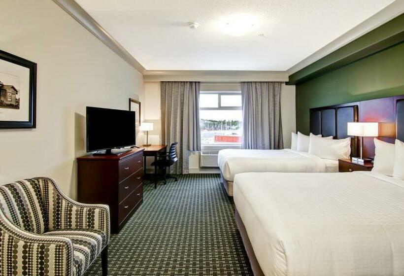 标准间, Chateau Nova Yellowknife