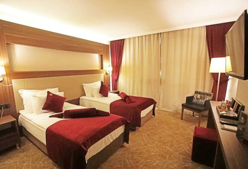 اتاق استاندارد, Paşapark Selçuklu
