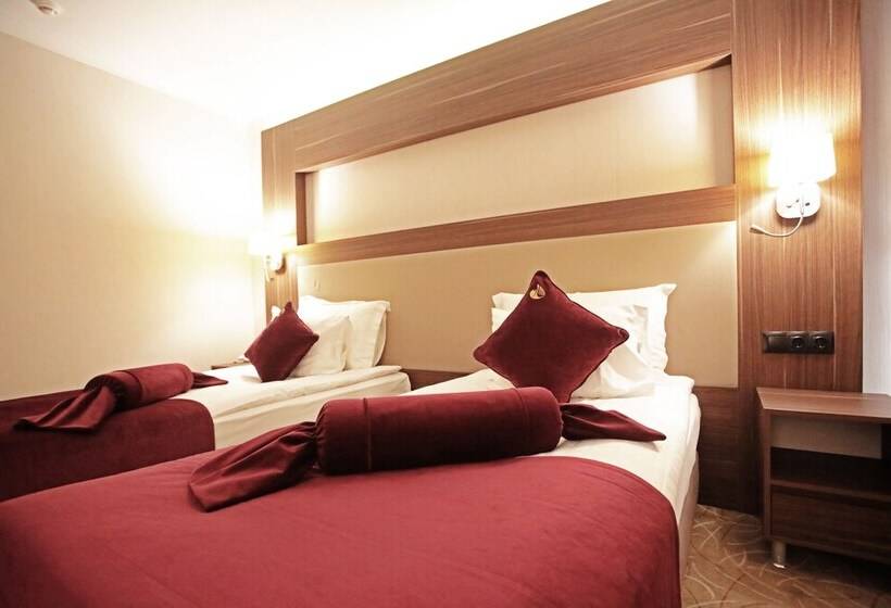 اتاق استاندارد, Paşapark Selçuklu