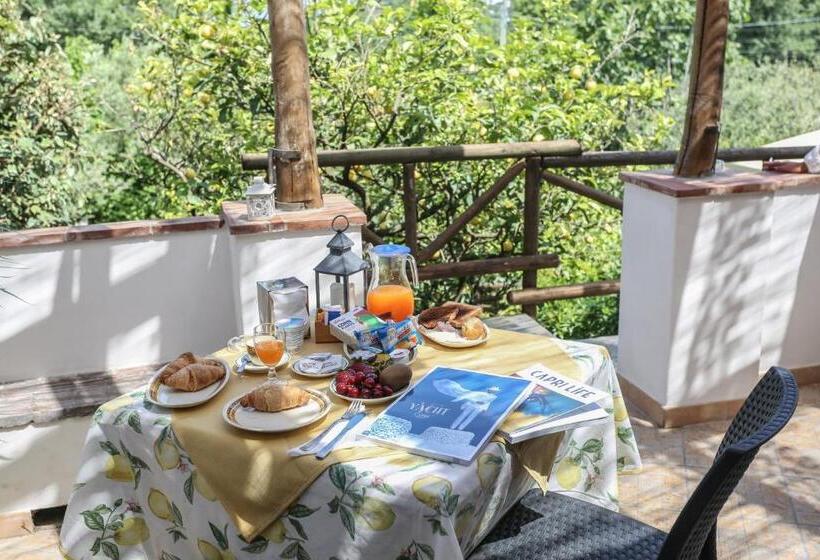 اتاق خانوادگی, Relais Villa Anna