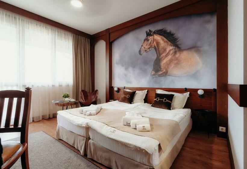 غرفة قياسية, Boutique Complex Trakiets