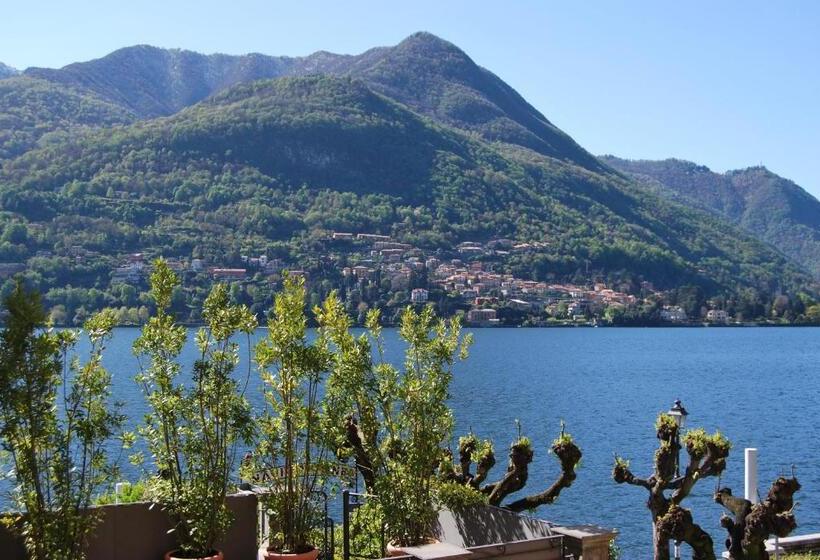 חדר משפחתי, Orso Bruno