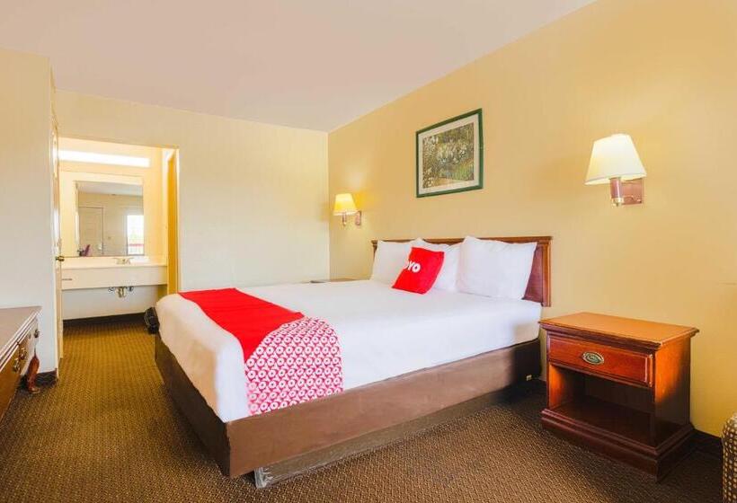 اتاق استاندارد با تخت بزرگ برای معلولان, Coastal Inn Corpus Christi