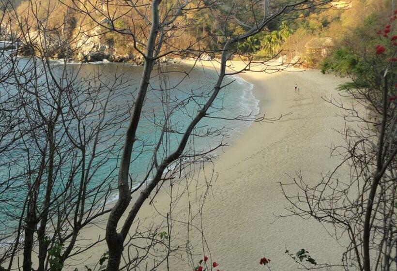 １ベッドルームハウス, Casa Luna Playa