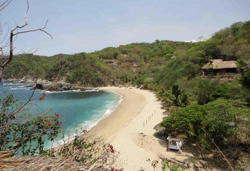 １ベッドルームハウス, Casa Luna Playa