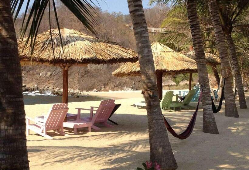 オーシャンビューのスタンダードバンガロー, Casa Luna Playa