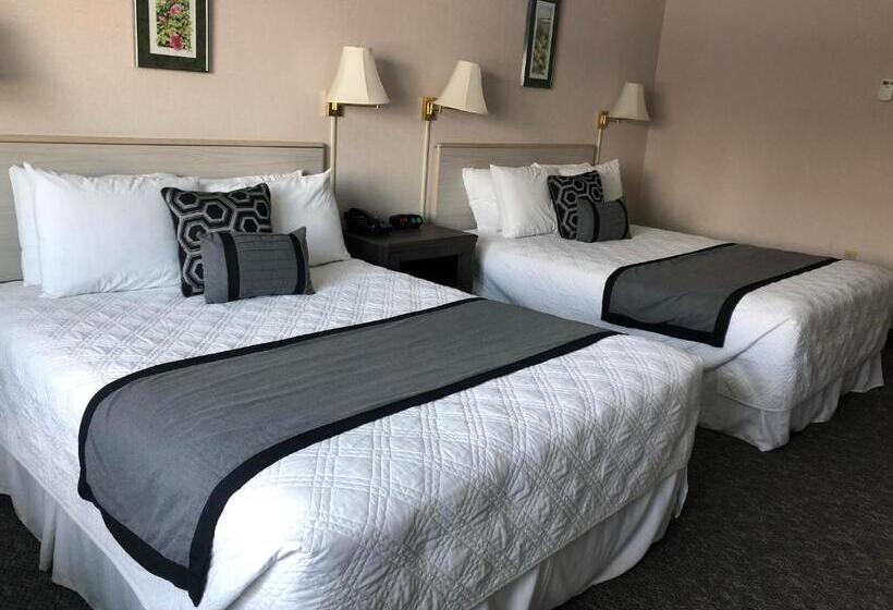 Номер Стандарт, Aurora Denali Lodge
