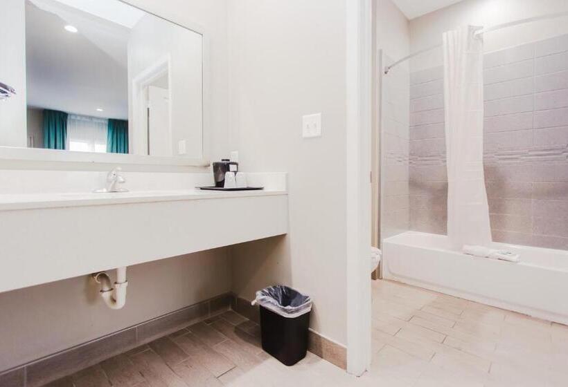 Suite King Size Seng, Express Inn  Spring