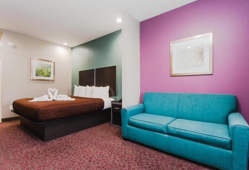 带大床的套房, Express Inn  Spring