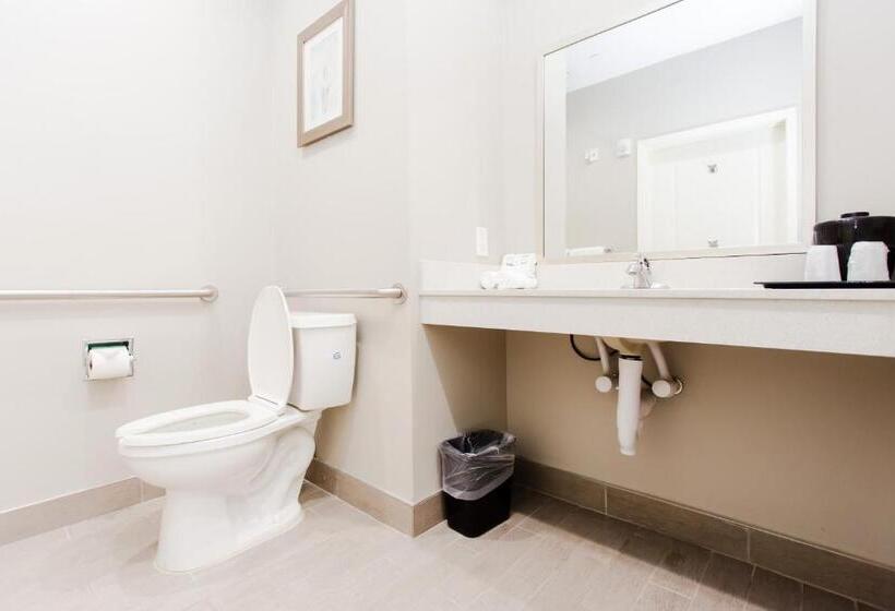 Standard Værelse, Express Inn  Spring