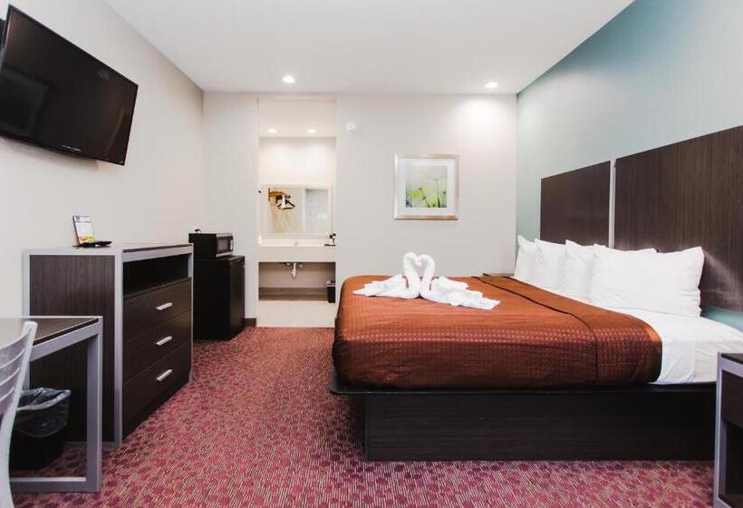 带大床的套房, Express Inn  Spring