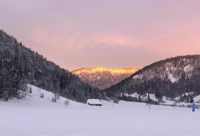 Стандартный Номер Кровать Кинг, Forest Apartment Forest Escape Menzenschwand