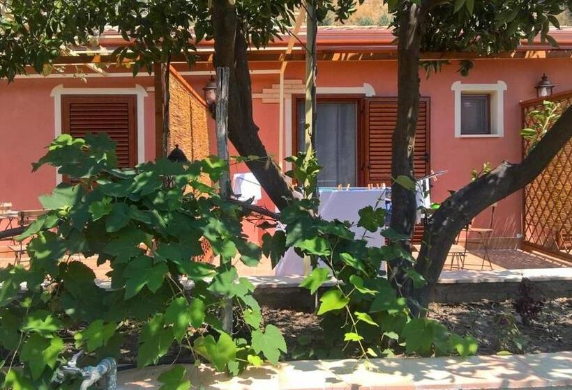 Одноместный Номер с Террасой, B&b Nonnotano