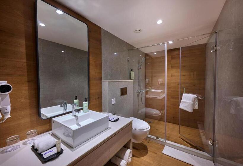 Номер Премиум, Delite Sarovar Portico Faridabad