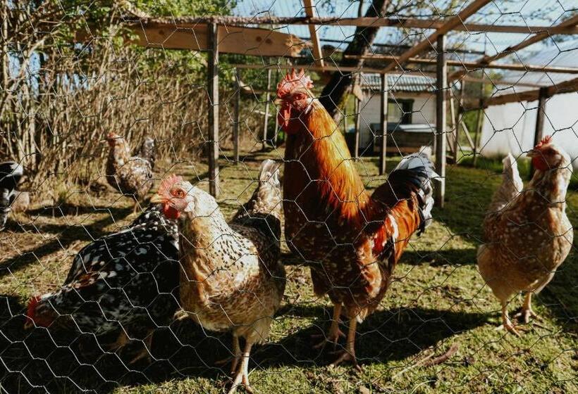 Номер Стандарт Вид на Сад, The Thistle Inn   Eko Farmstay