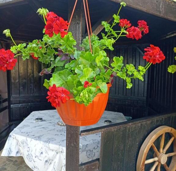 디럭스 룸, Guest House Kotva