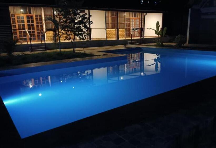 חדר סטנדרט, Tiktoker Lodge