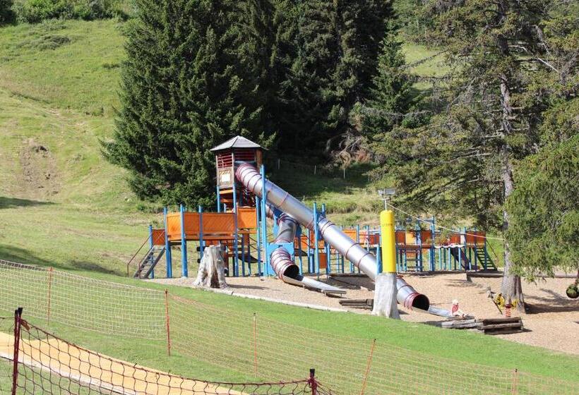 Шале 1 Спальня, Holidays Groupes Anzère