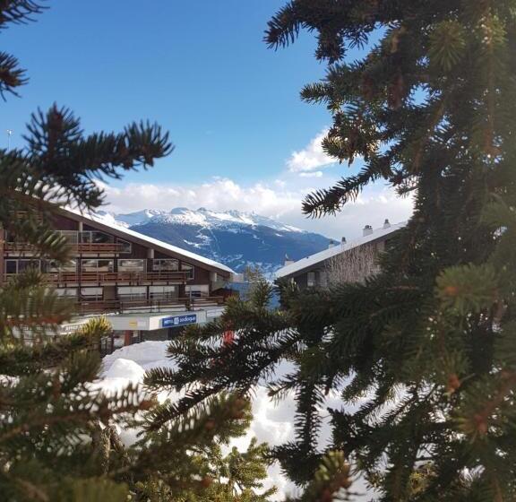 Шале 1 Спальня, Holidays Groupes Anzère